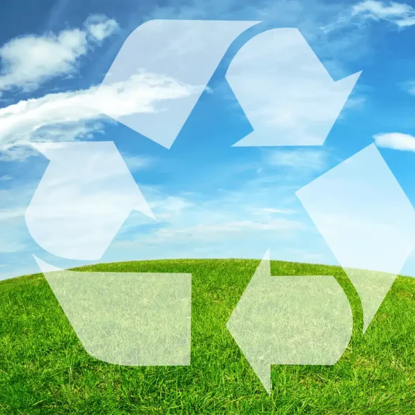 eco-friendly