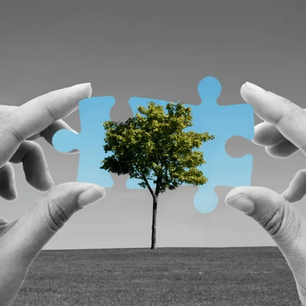 scalable-solutions
