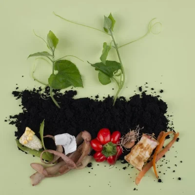 sustainable